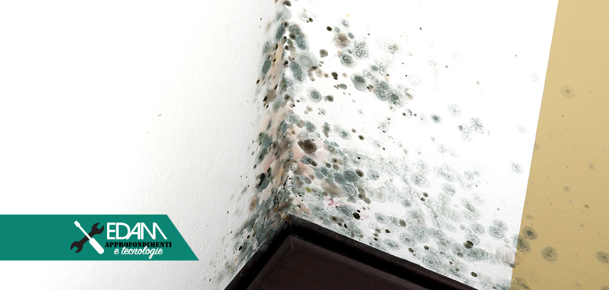 muffa e umidità cause e rimedi